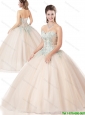 Spring New Style Ball Gown Appliques and Beading Quinceanera Dresses