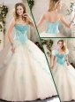 2016 Fashionable Champagne Quinceanera Gowns with Appliques
