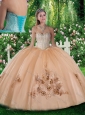 Pretty Ball Gown Beading and Appliques Quinceanera Dresses