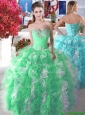 Wonderful Organza Big Puffy Sweet 16 Dress with Beading and Ruffles