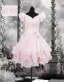 Baby Pink Organza Lace Up Dress for Prom Short Sleeves Knee Length Beading and Appliques and Ruffles and Hand Made Flower