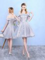 Lovely Grey Tulle Lace Up Damas Dress Half Sleeves Knee Length Appliques