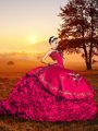 Organza Sleeveless Sweet 16 Quinceanera Dress Brush Train and Embroidery and Ruffles