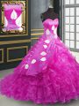 Wonderful Fuchsia Organza Lace Up Sweetheart Sleeveless Sweet 16 Dresses Brush Train Embroidery and Ruffles