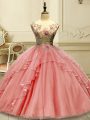 Traditional Sleeveless Appliques Lace Up Quinceanera Gowns