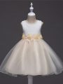 Ball Gowns Girls Pageant Dresses Champagne Scoop Tulle Sleeveless Knee Length Zipper