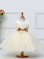 Champagne Sleeveless Tulle Zipper Little Girl Pageant Gowns for Wedding Party