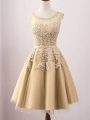Flirting Sleeveless Tulle Knee Length Lace Up Dama Dress in Gold with Lace
