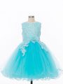 Trendy Sleeveless Appliques and Hand Made Flower Zipper Little Girls Pageant Gowns