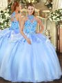 Most Popular Sleeveless Embroidery Lace Up Quinceanera Gown