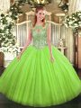 Traditional Ball Gowns 15 Quinceanera Dress Scoop Tulle Sleeveless Floor Length Lace Up