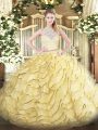 Fancy Sleeveless Brush Train Zipper Lace and Ruffles Quinceanera Gowns