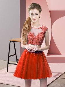 Flirting Sleeveless Appliques Zipper Prom Dresses