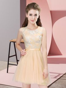 Scoop Sleeveless Side Zipper Wedding Guest Dresses Champagne Tulle