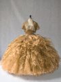 On Sale Ball Gowns Quinceanera Gowns Brown Strapless Organza Sleeveless Floor Length Lace Up