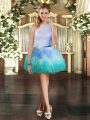 Pretty Scoop Sleeveless Tulle Club Wear Ruffles Zipper