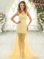 Hot Sale Gold Zipper Sweetheart Beading Prom Gown Tulle Sleeveless Brush Train