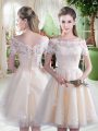 Charming Champagne A-line Off The Shoulder Short Sleeves Tulle Knee Length Lace Up Lace Homecoming Dress