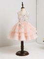 Artistic Mini Length Pink Flower Girl Dresses for Less Tulle Sleeveless Appliques