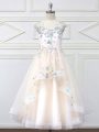 High Class Champagne A-line Scoop Sleeveless Tulle Floor Length Zipper Appliques Flower Girl Dresses