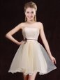 Flare Champagne Sleeveless Mini Length Lace Lace Up Quinceanera Court Dresses