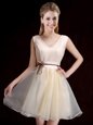Best V-neck Sleeveless Lace Up Dama Dress Champagne Organza