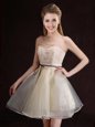 Free and Easy Champagne Sleeveless Organza Lace Up Wedding Party Dress for Prom and Party and Wedding Party