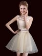 Champagne Organza Lace Up Scoop Sleeveless Mini Length Dama Dress Lace