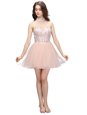 Custom Design Mini Length Baby Pink Evening Dress Organza Sleeveless Beading