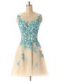 Sleeveless Mini Length Beading and Appliques Zipper Homecoming Dress with Champagne