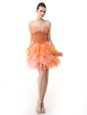 Multi-color Sleeveless Organza Zipper Oscars Dresses for Prom and Party
