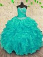Lovely Sleeveless Beading Lace Up Quinceanera Gowns