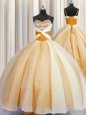 Organza Spaghetti Straps Sleeveless Lace Up Beading and Ruching 15 Quinceanera Dress in Orange