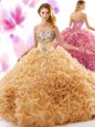Delicate Court Train Ball Gowns Quinceanera Gown Champagne Sweetheart Organza Sleeveless Lace Up