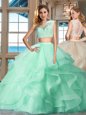 Tulle Cap Sleeves Floor Length Quinceanera Gowns and Appliques and Ruffles
