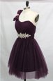 Purple One Shoulder Lace Up Beading Prom Dress Sleeveless