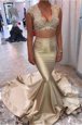 Mermaid Champagne Satin Zipper V-neck Sleeveless Celebrity Style Dress Court Train Appliques