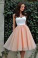 Fashion Tulle Square Sleeveless Zipper Ruching Prom Dresses in Peach