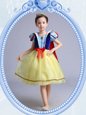 Hot Sale Square Short Sleeves Organza Flower Girl Dress Bowknot Zipper