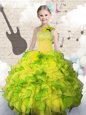 Ball Gowns Little Girl Pageant Dress Light Yellow Scoop Tulle Sleeveless Floor Length Zipper