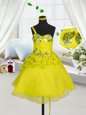 Sleeveless Beading and Appliques and Hand Made Flower Lace Up Child Pageant Dress