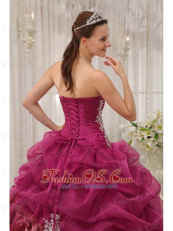 Popular Burgundy Quinceanera Dress Sweetheart Organza and Zebra or Leopard Appliques Ball Gown