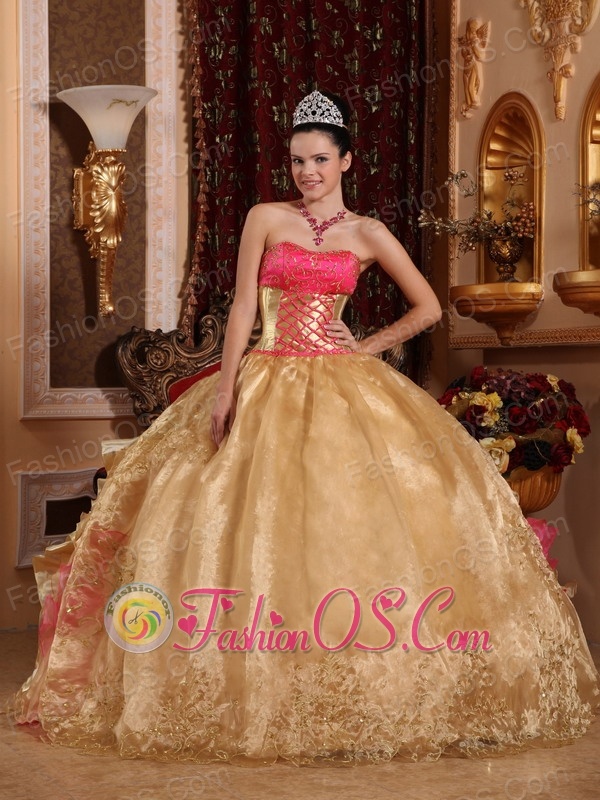 Popular Champagne Quinceanera Dress Strapless Organza Embroidery Ball Gown