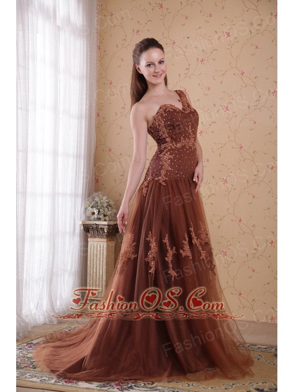 Brown Column / Sheath One Shoulder Brush /Sweep Appliques Tulle Prom/Pageant Dress