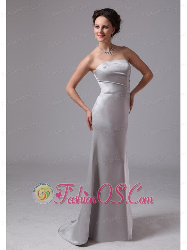 Simple Silver Column Satin Brush Train Mother Of The Bride Dress For Customize In Clayton Georgia