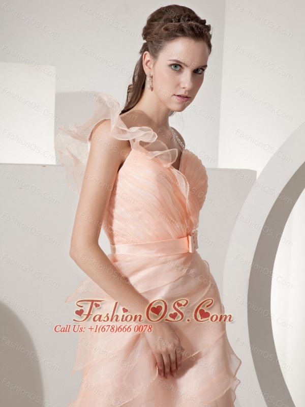Baby Pink A-line Straps Ruched Bodice Knee-length Organza Beading Prom Dress