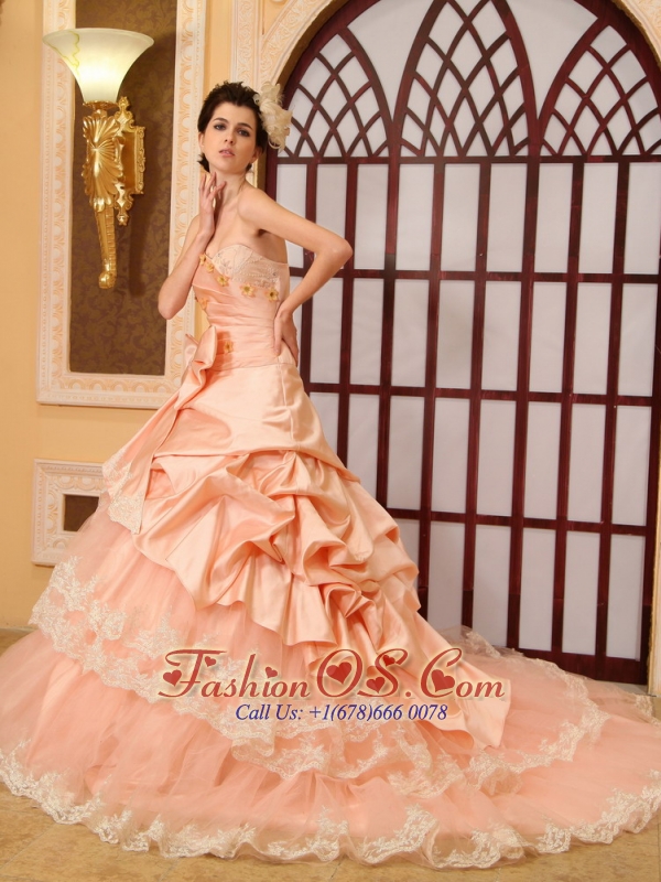 Lace Beading A-Line / Princess Sweetheart Organza Cathedral Train Wedding Dress