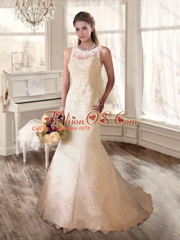 Beautiful Scoop Champagne Wedding Dresses with Appliques 2016