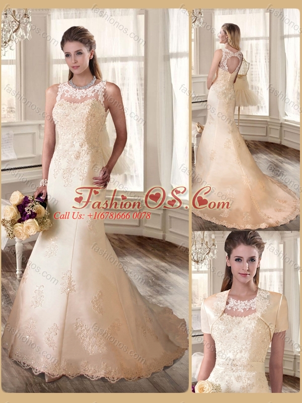 Beautiful Scoop Champagne Wedding Dresses with Appliques 2016